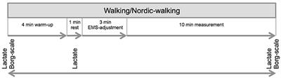 Whole-Body EMS Superimposed Walking and Nordic Walking on a Treadmill—Determination of Exercise Intensity to Conventional Exercise
